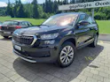 SKODA Kodiaq 2.0 TDI Ambition DSG