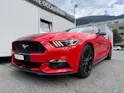 Ford Mustang Fastback 5.0 V8 GT *HANDSCHALTER* ORGINAL US CAR*PREMIUM AUSSTATTUNG*