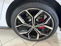 VW Polo 2.0 TSI GTI DSG