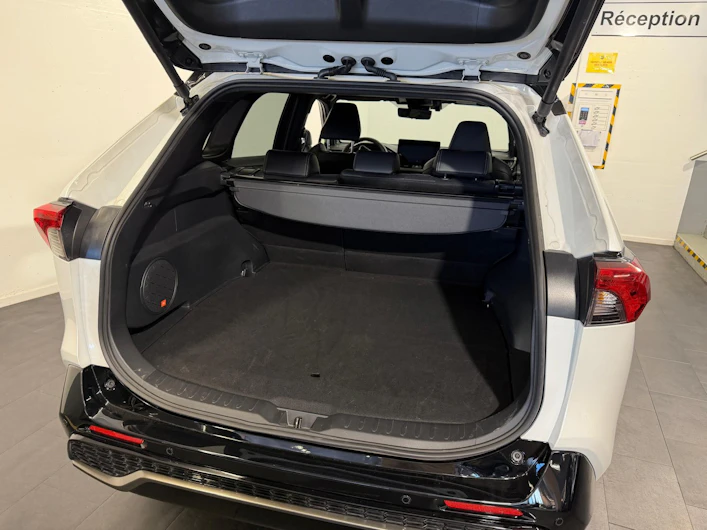 Fahrzeugbild TOYOTA RAV-4