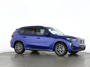 BMW X1 30e xDrive paddles