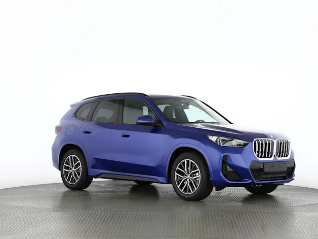 BMW X1 30e xDrive paddles