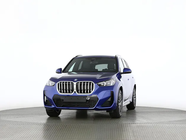 BMW X1 30e xDrive paddles