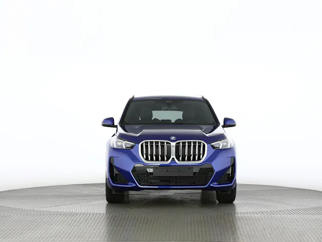 BMW X1 30e xDrive paddles