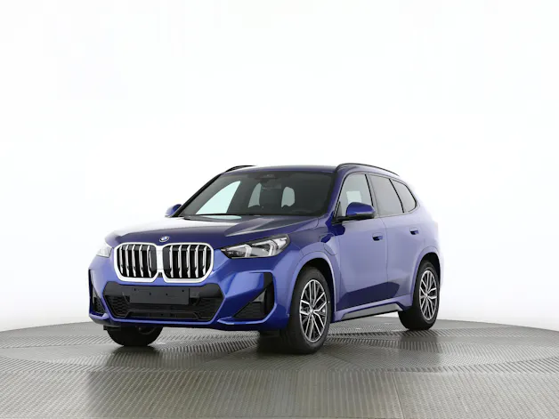 BMW X1 30e xDrive paddles