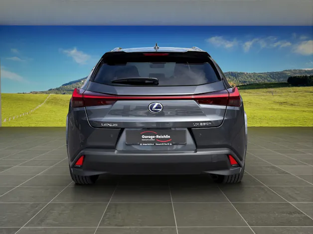 Lexus UX 250h Excellence