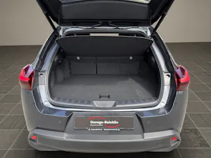 Lexus UX 250h Excellence