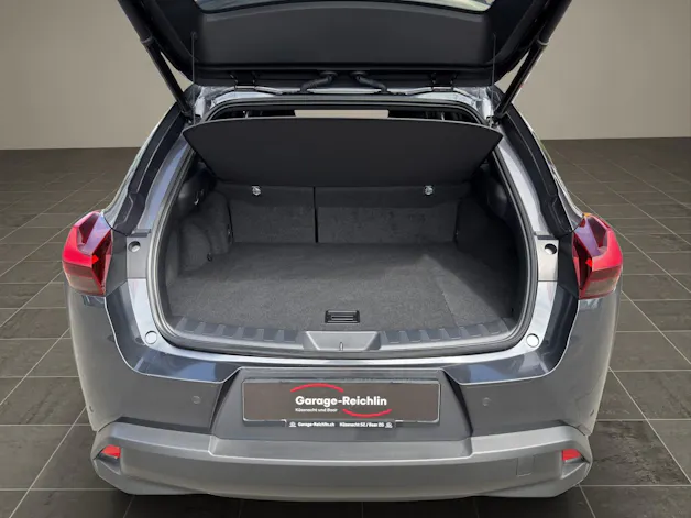 Lexus UX 250h Excellence