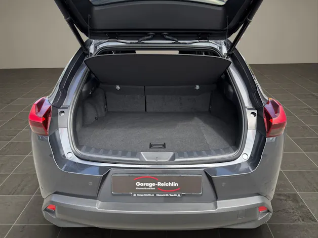 Lexus UX 250h Excellence