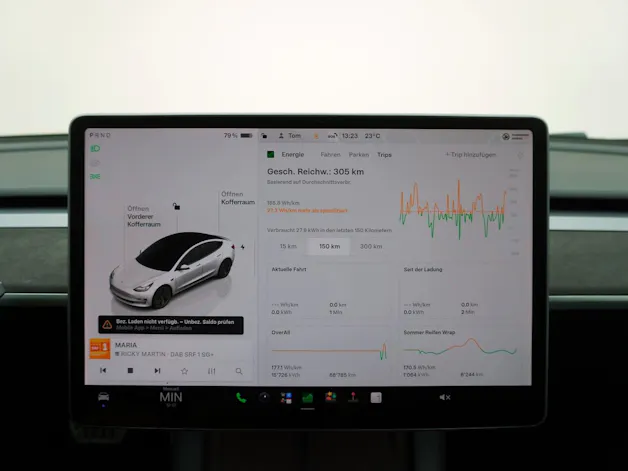 Tesla Model 3 Performance Dual AWD