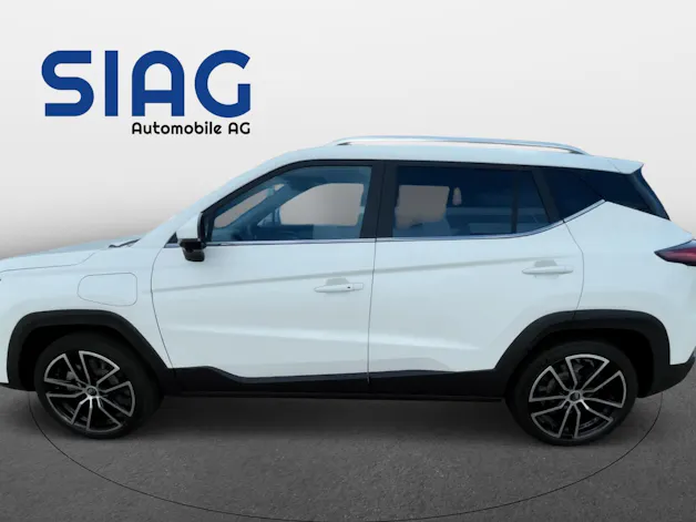 JAC e-JS4 Electric