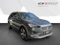SEAT Tarraco 2.0 TSI Xcellence 4Drive DSG