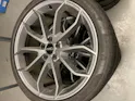 Audi RS Q3 2.5 TFSI perform. qu. S-Tronic