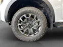 Ford Ranger D-Kab. Pick-up 2.0 EcoBlue 4x4 205 PS Wildtrak