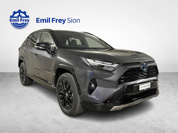 Fahrzeugbild TOYOTA RAV-4