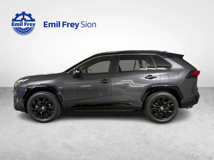 Fahrzeugbild TOYOTA RAV-4