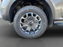 Ford Ranger D-Kab. Pick-up 2.0 EcoBlue 4x4 205 PS Wildtrak