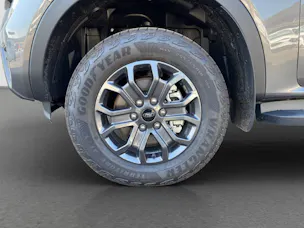 Ford Ranger D-Kab. Pick-up 2.0 EcoBlue 4x4 205 PS Wildtrak