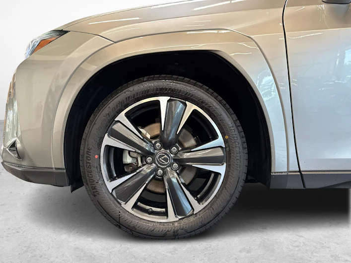 immagine del veicolo LEXUS UX