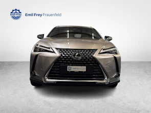 immagine del veicolo LEXUS UX 300h Excellence