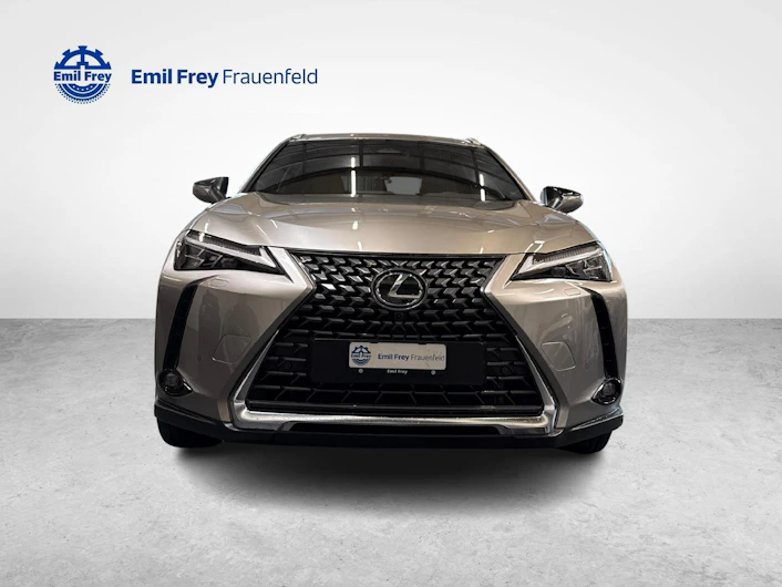 immagine del veicolo LEXUS UX