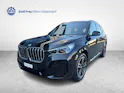BMW X1 30e xDrive paddles