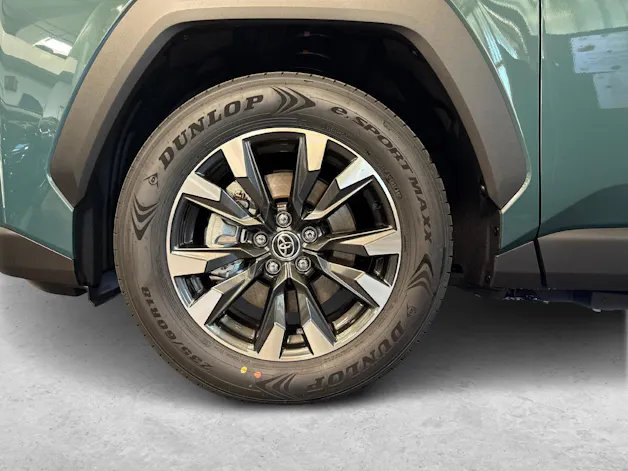 Toyota RAV4 2.5 Plug-In-Hybrid Trend