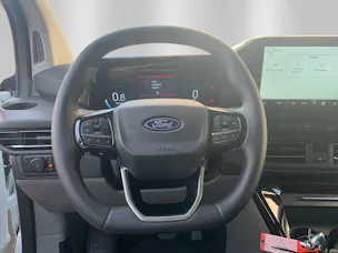 Ford Stylevan Belize 2.0 EcoBlue 170 Titanium