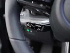 Porsche Cayenne Turbo E-Hybrid Coupé mit GT-Paket
