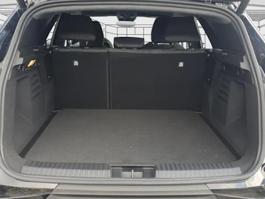 MITSUBISHI GRANDIS 13