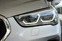 BMW X1 xDrive 25d Sport Line Steptronic