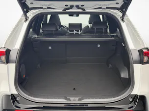 Toyota RAV4 2.5 Plug-In-Hybrid Platinum
