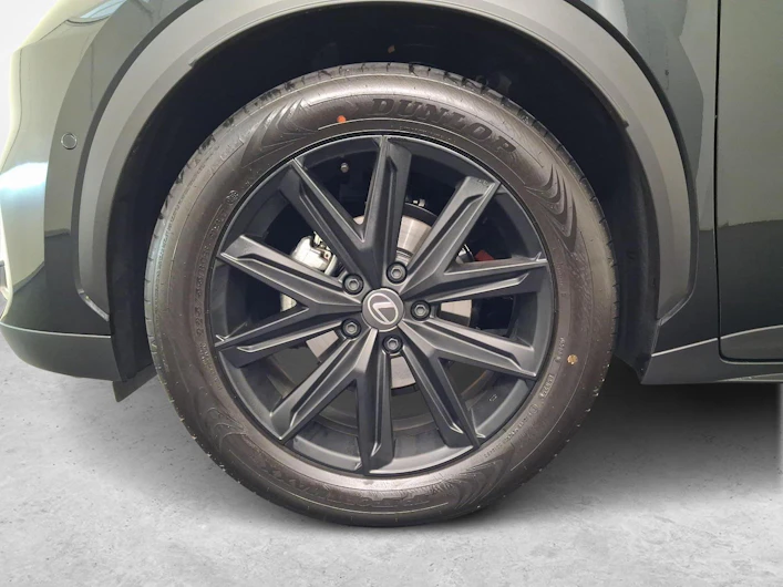 Fahrzeugbild LEXUS LBX