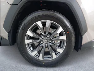 Toyota RAV4 2.5 Plug-In-Hybrid Trend