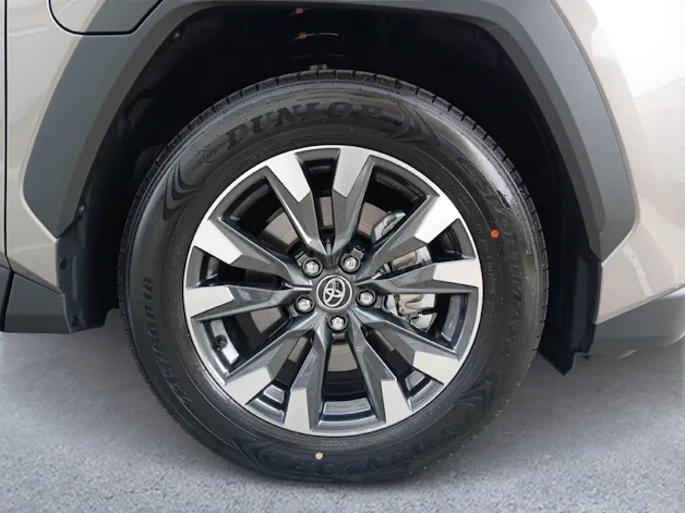 Toyota RAV4 2.5 Plug-In-Hybrid Trend
