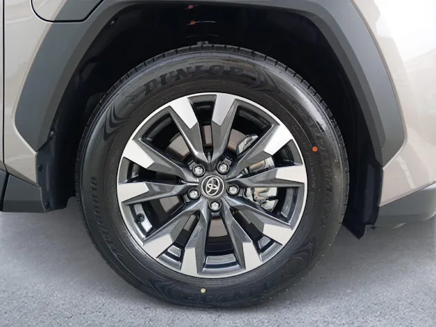 Toyota RAV4 2.5 Plug-In-Hybrid Trend