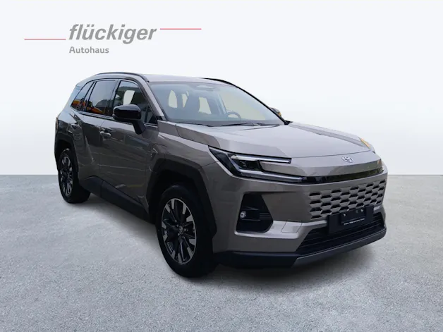 Toyota RAV4 2.5 Plug-In-Hybrid Trend