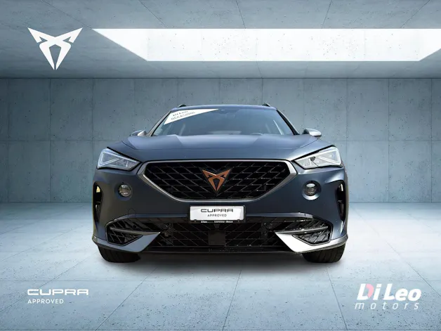 Cupra Formentor 2.0TSI VZ 4Drive DSG