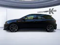 VW Polo 2.0 TSI GTI DSG