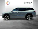 Škoda Kodiaq 2.0 TSI RS 4x4