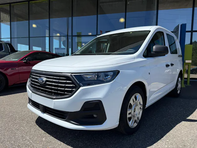 Ford Transit Connect Kasten 1.5 EcoBoost PHEV Trend