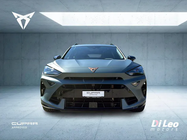 Cupra Formentor 2.0TSI Extreme 4Drive DSG