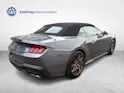 Ford Mustang Convertible 5.0 V8 GT
