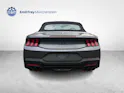 Ford Mustang Convertible 5.0 V8 GT