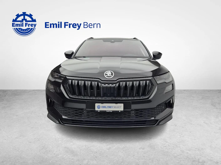 Fahrzeugbild SKODA KAROQ