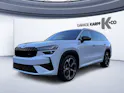 Škoda Kodiaq 2.0 TSI RS 4x4