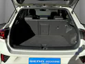 VW T-Roc 2.0 TSI R-Line DSG 4Motion