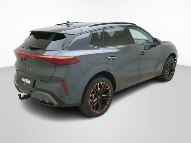 Cupra Terramar 2.0 TSI 4Drive DSG