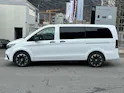 Mercedes-Benz Vito 116 CDI Tourer SELECT Family