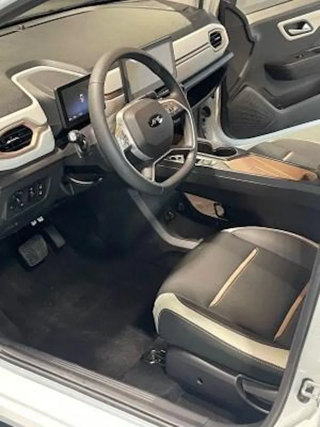 JAC e-JS1 31KwH